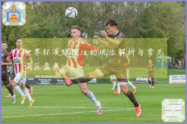 世界杯滚球投注的玩法解析与常见误区盘点